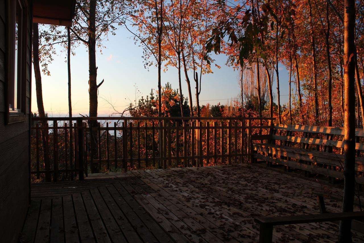 Cabanas Mas Ke Miel Población Población Lago Ranco Zewnętrze zdjęcie